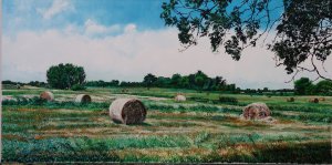 The hay-harvest